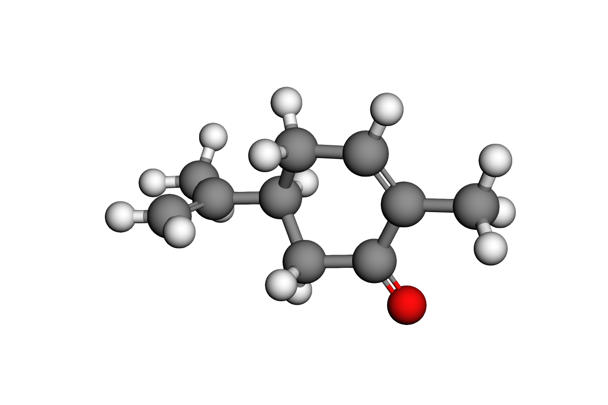Estructura de (S)-carvona