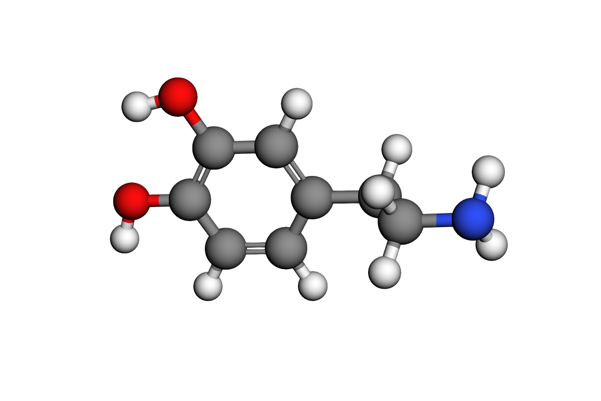 Estructura de dopamina