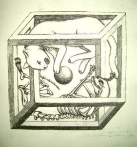 Modelo atómico de Schrodinger