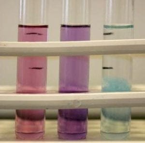 Análisis cualitativo de proteínas